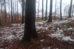 Azimuťák 26. 1. 2025