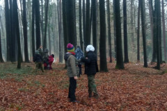 IMG_20250126_152440