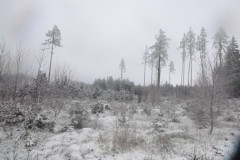 P1020559