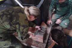 IMG-20250609-WA0016