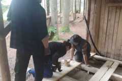 IMG-20250609-WA0029