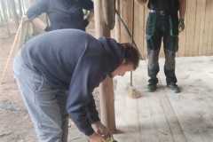 IMG-20250609-WA0031