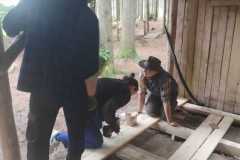 IMG-20250609-WA0037