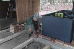 IMG-20250609-WA0042