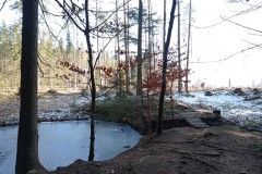 IMG_20230304_103829