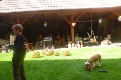 IMG-20260524-WA0018