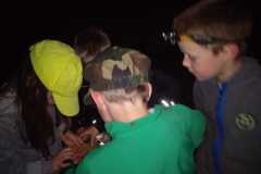 IMG-20220524-WA0013