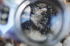 IMG-20260524-WA0011