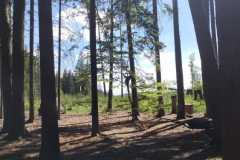 IMG-20260524-WA0026