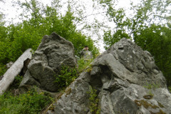 P1030691