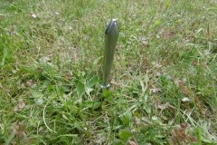 P1030714