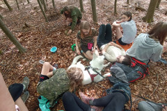 IMG_20240511_112126