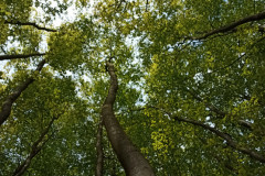 IMG_20240511_112328