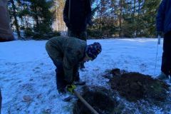 IMG-20241124-WA0008