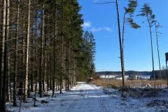IMG-20241124-WA0019