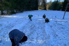 IMG-20241124-WA0023
