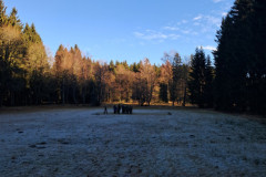 20251213_140540