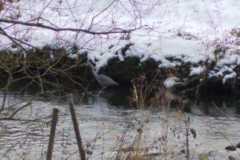 IMG-20251129-WA0003