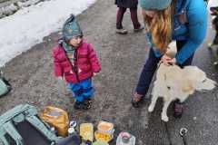 IMG-20251129-WA0006