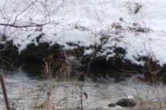 IMG-20251129-WA0007