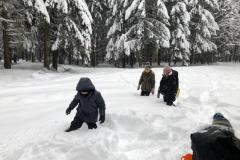IMG-20231204-WA0019