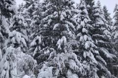 IMG-20231204-WA0024