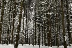 IMG-20231204-WA0026