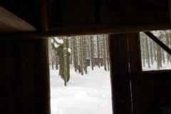 IMG-20231204-WA0030