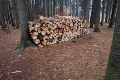IMG-20251103-WA0006