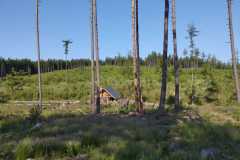 IMG-20250615-WA0001