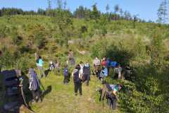 IMG-20250615-WA0013