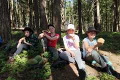 IMG-20250616-WA0002