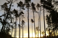 IMG_20221016_073617