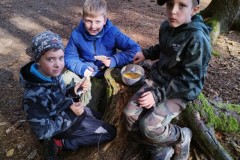 IMG_20221016_120352