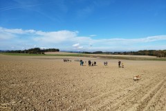 IMG_20221016_142641