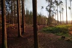 PANO_20221016_073540