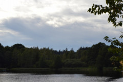 DSC_0688