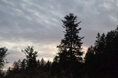 DSC_0718