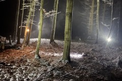 00DB47A3-9F30-4972-AF37-728CE6B37AD5