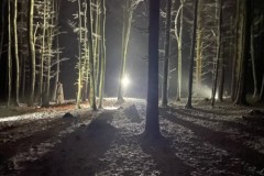 0A56533F-6962-41F1-98E6-0466A16431DE