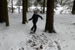 1E35C635-627A-455D-BDAE-42C8D0064D33