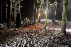 2F10B495-EBBA-4078-B119-E5ED36ECAC42