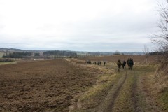 IMG_6961