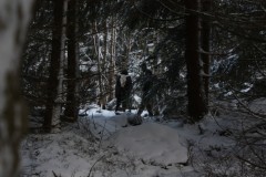 IMG_7186