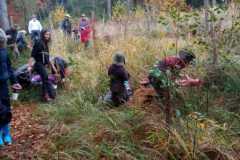 IMG-20241029-WA0002