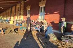 IMG-20241029-WA0023
