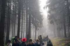 IMG-20241029-WA0037