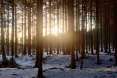 IMG-20260104-WA0008