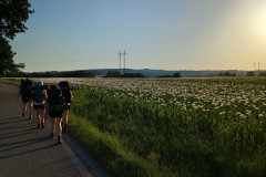 IMG_20260626_193349043_HDR
