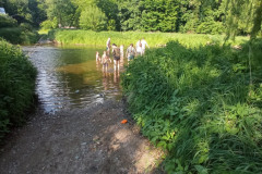 IMG_20250531_172346